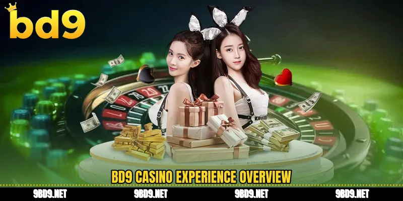 BD9 casino experience overview
