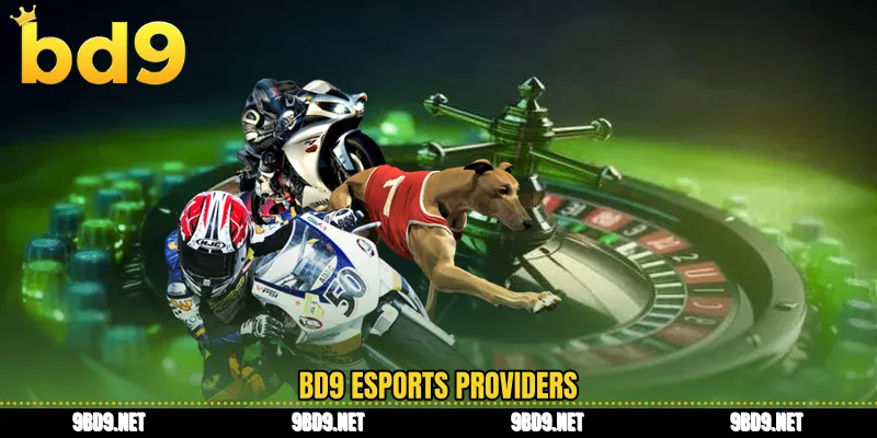 BD9 esports providers