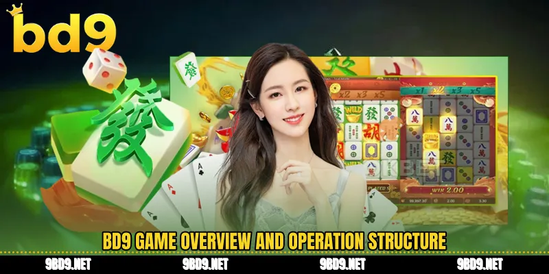 BD9 game overview and operation structure