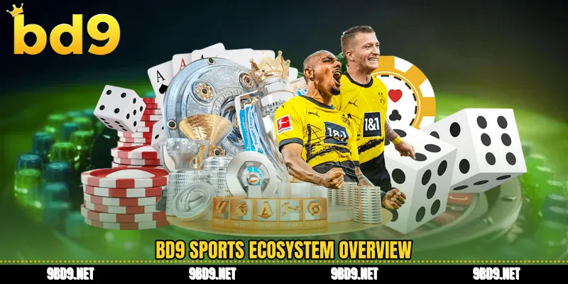 BD9 sports ecosystem overview