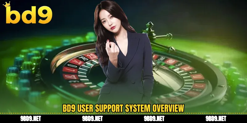 BD9 user support system overview